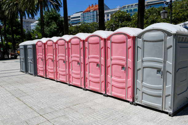 Types of Portable Toilets We Offer in Appomattox, VA